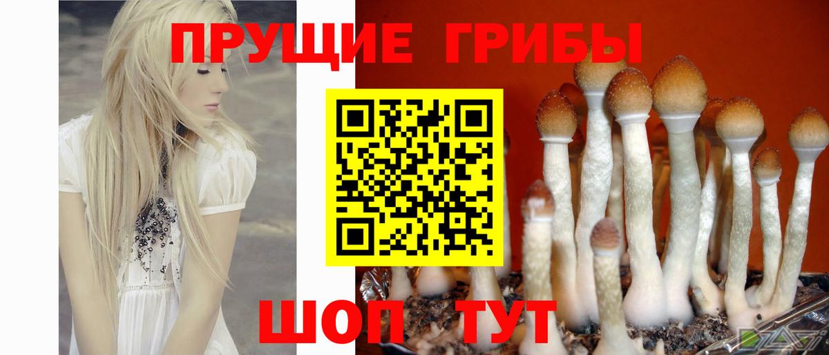 Урай  Галлюциногенные грибы мицелий  Вход с VPN  Галлюциногенные грибы ЛСД 